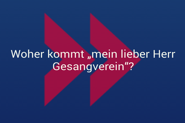 Antworten, die Sie schon immer wissen wollten…
